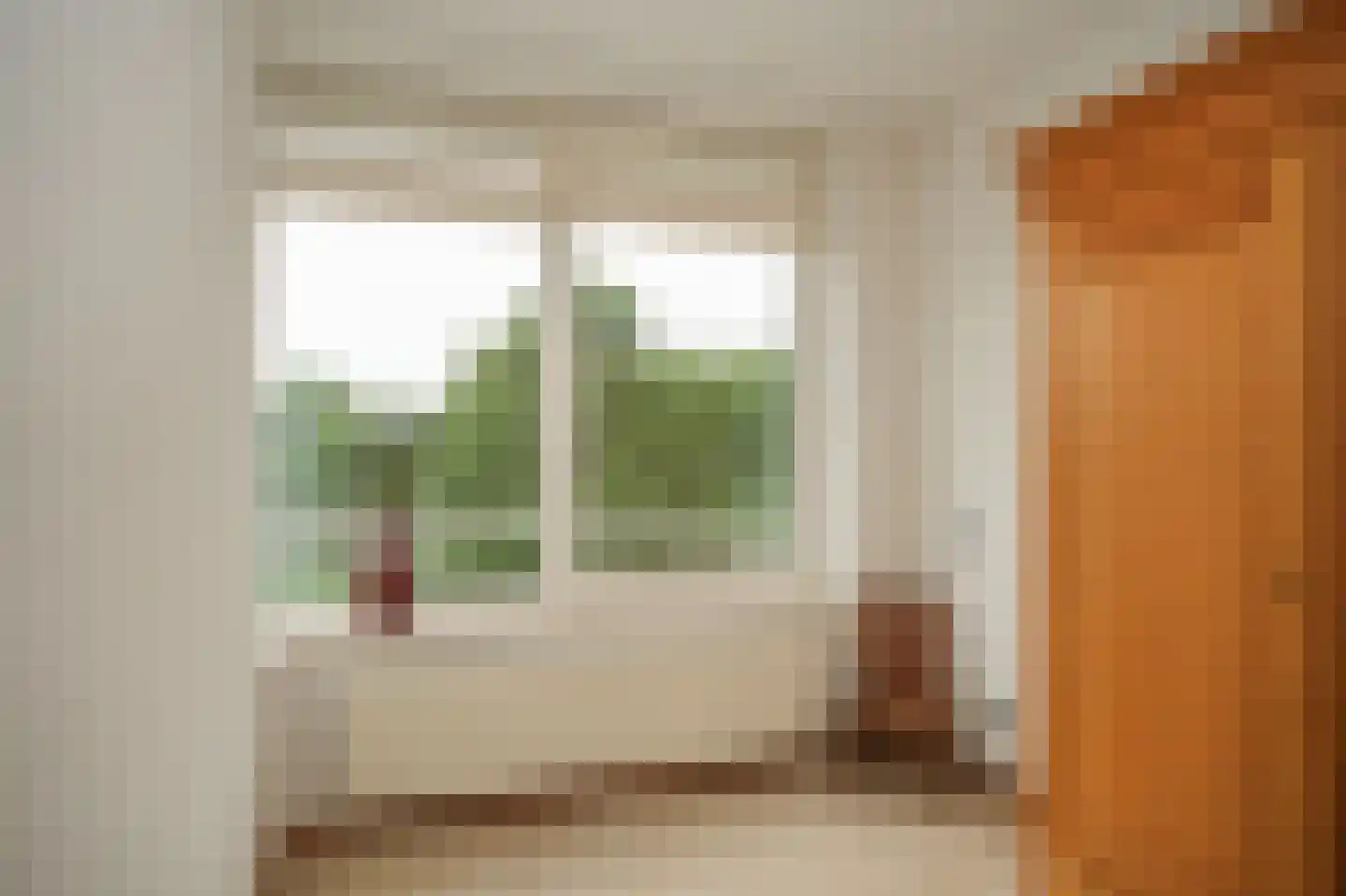 IJsvogel 25 Vught thumbnail 12