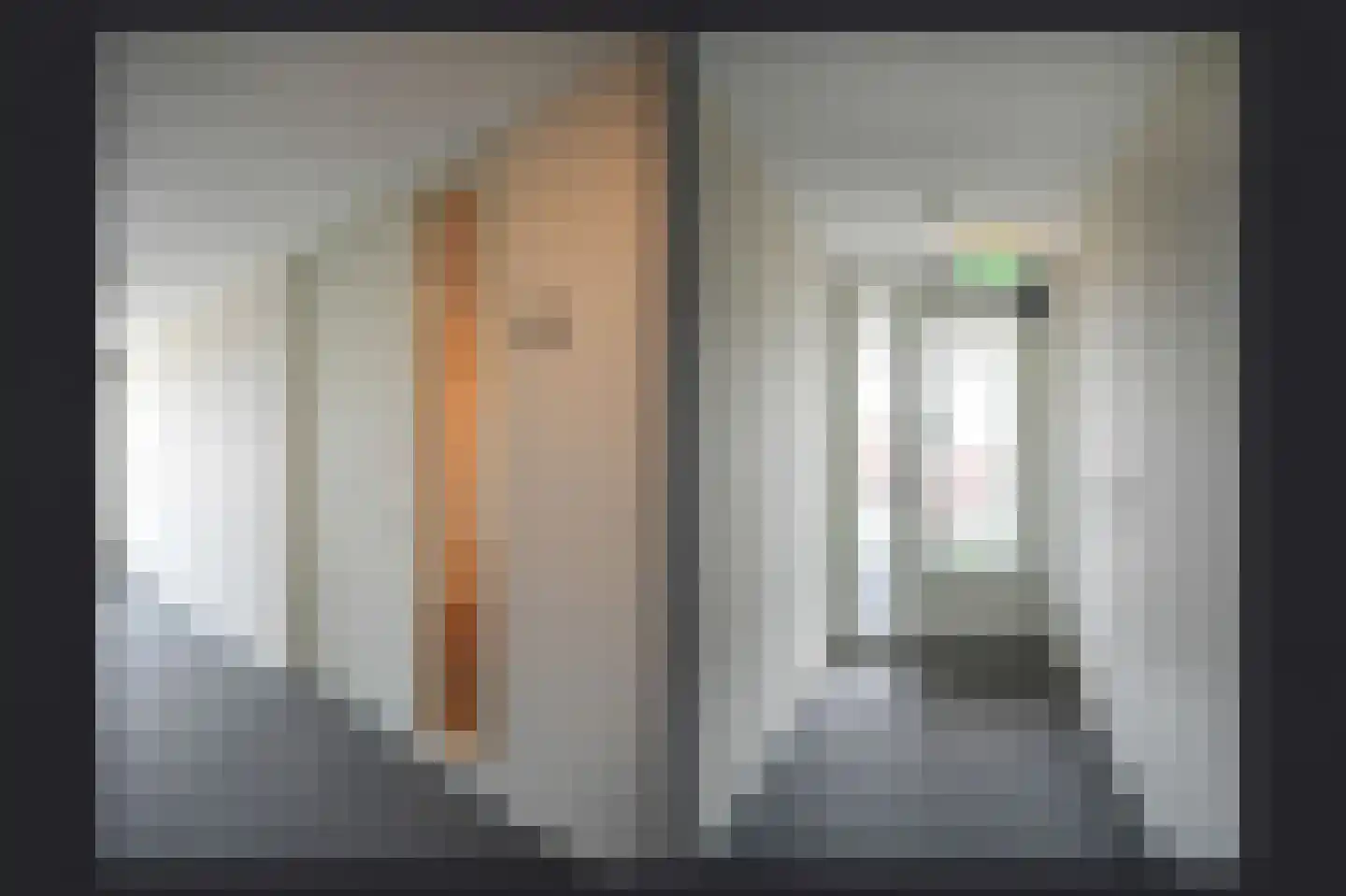 IJsvogel 25 Vught thumbnail 18