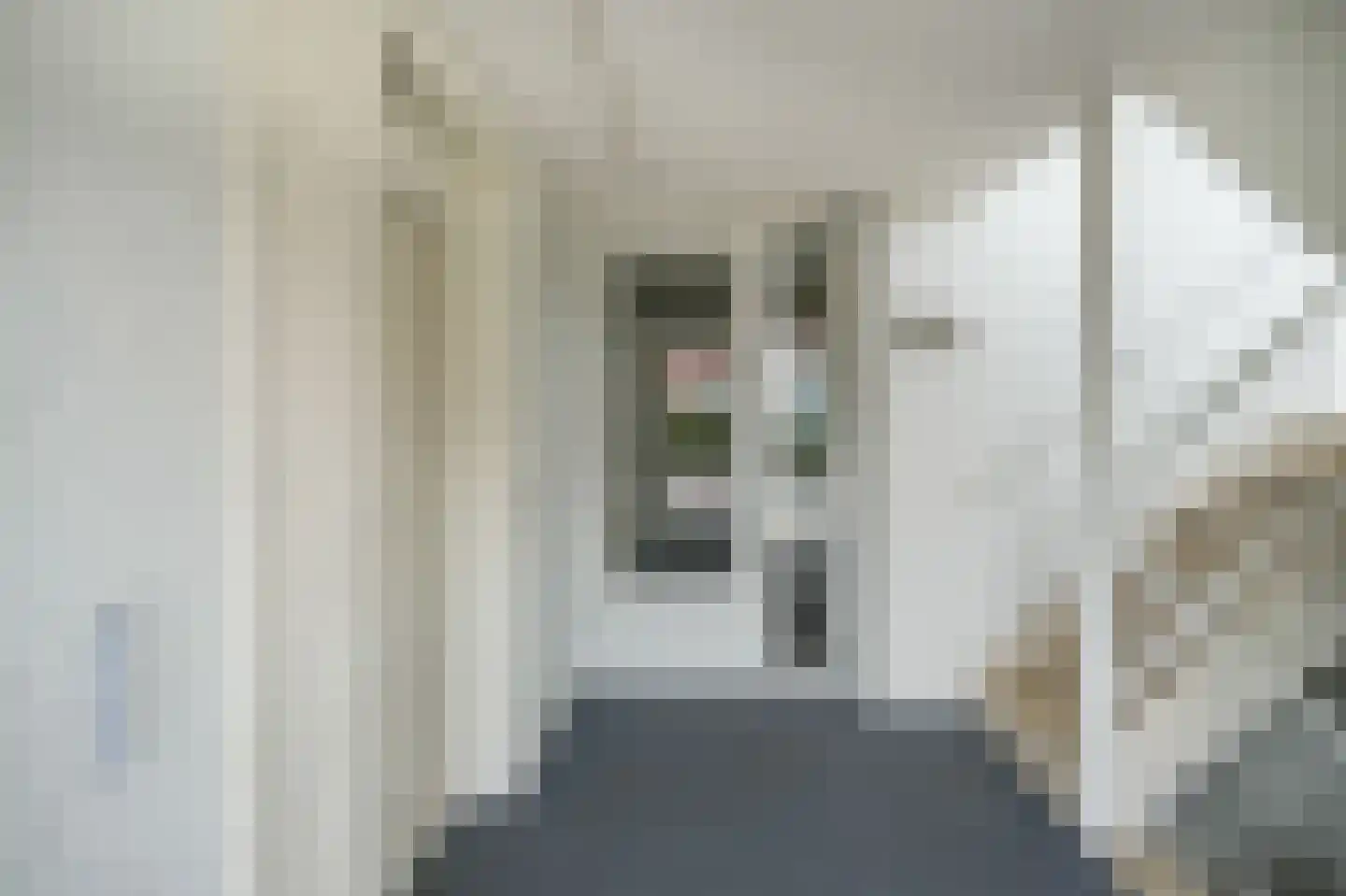 IJsvogel 25 Vught thumbnail 19