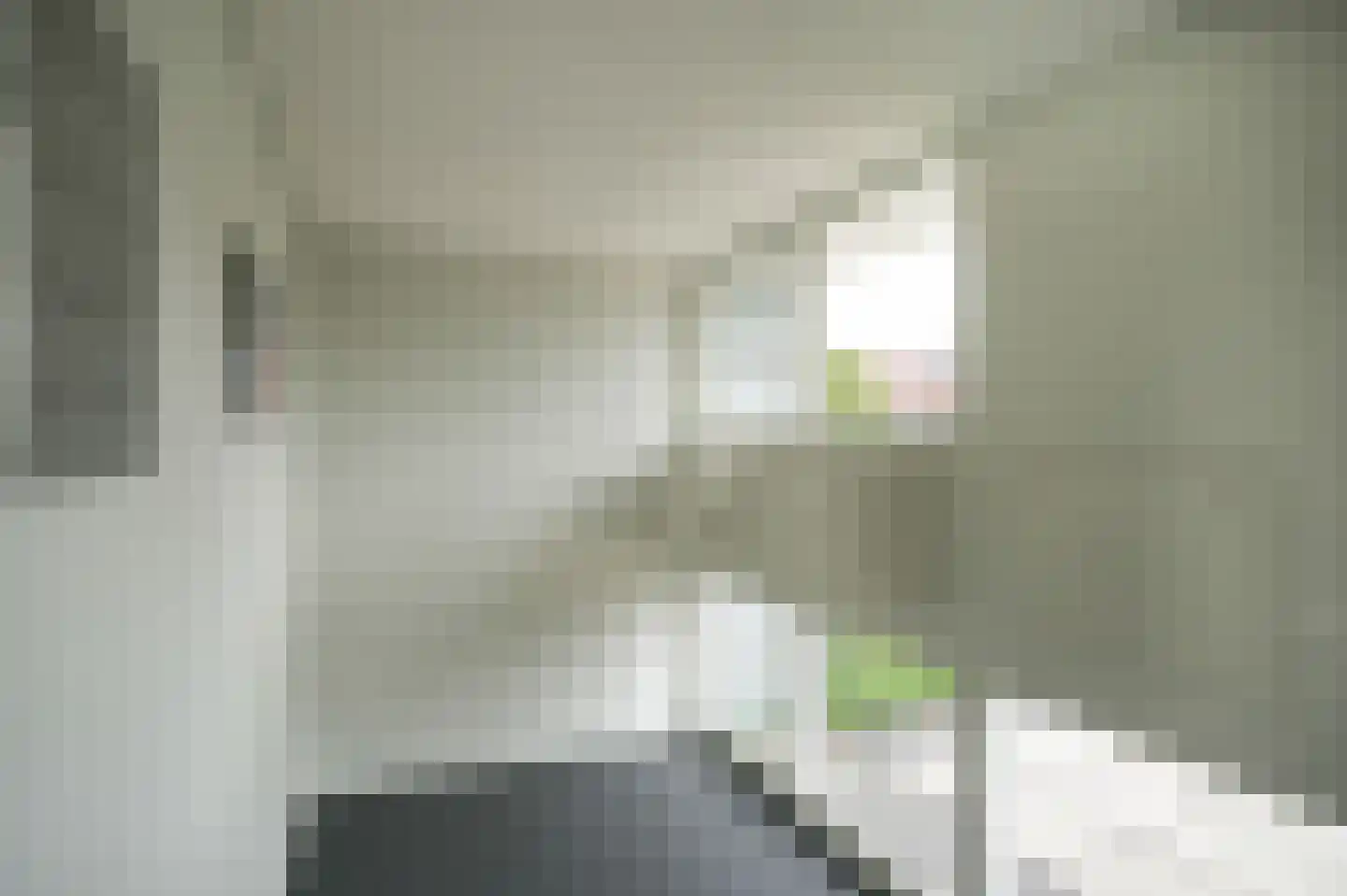 IJsvogel 25 Vught thumbnail 20
