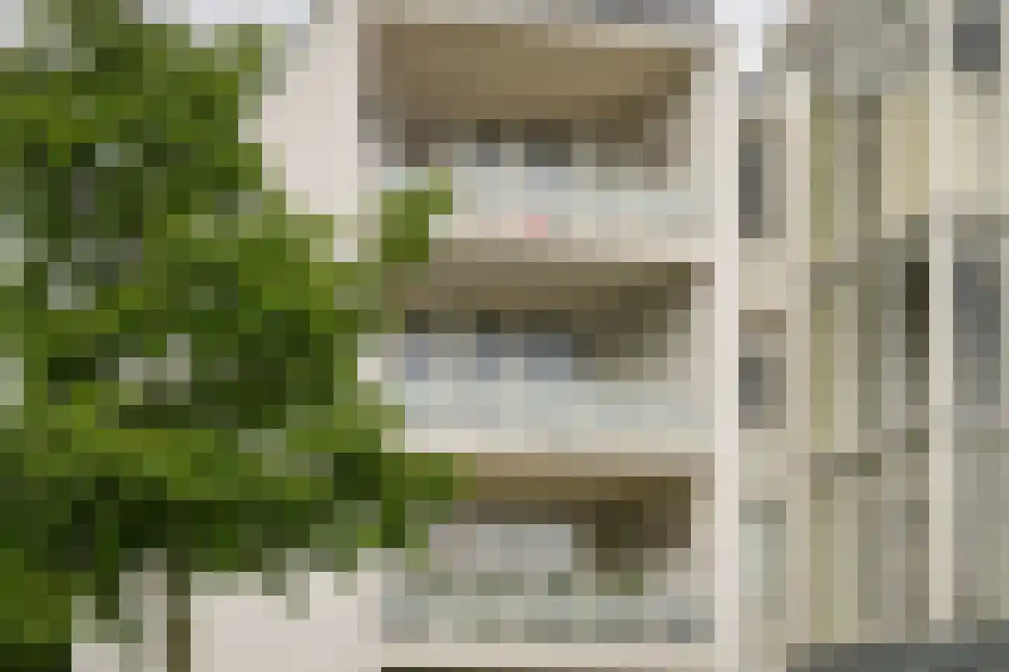 IJsvogel 25 Vught thumbnail 22