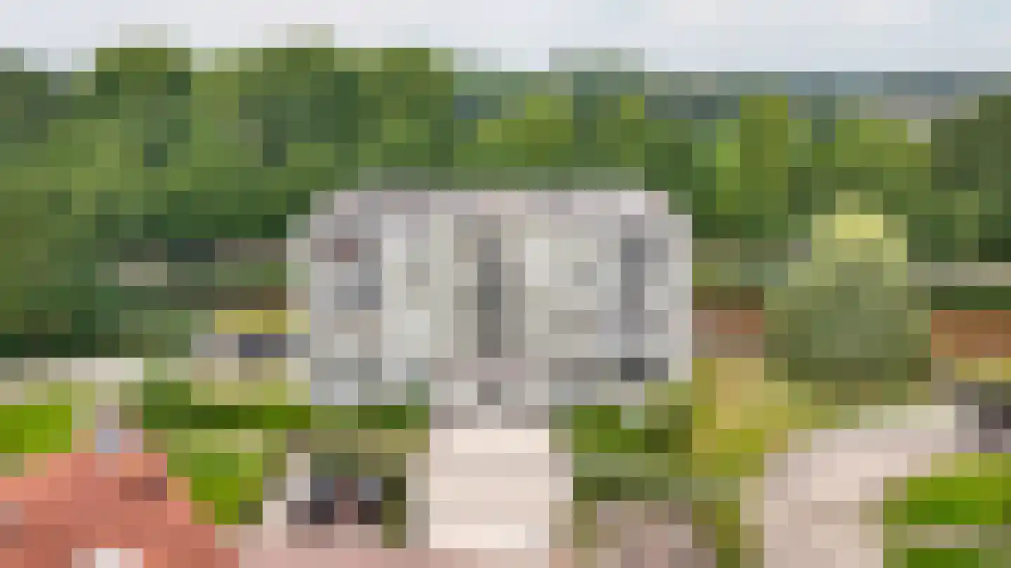 IJsvogel 25 Vught thumbnail 23