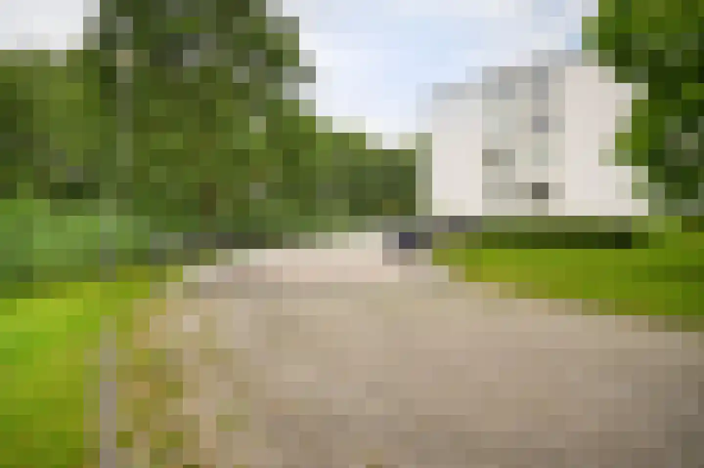 IJsvogel 25 Vught thumbnail 25