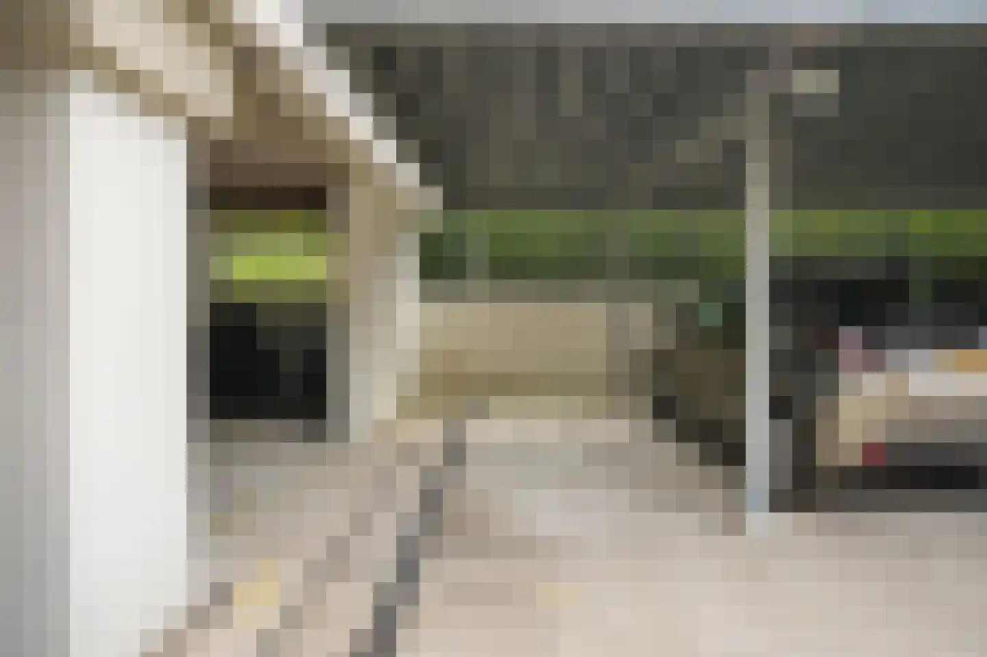 IJsvogel 25 Vught thumbnail 26