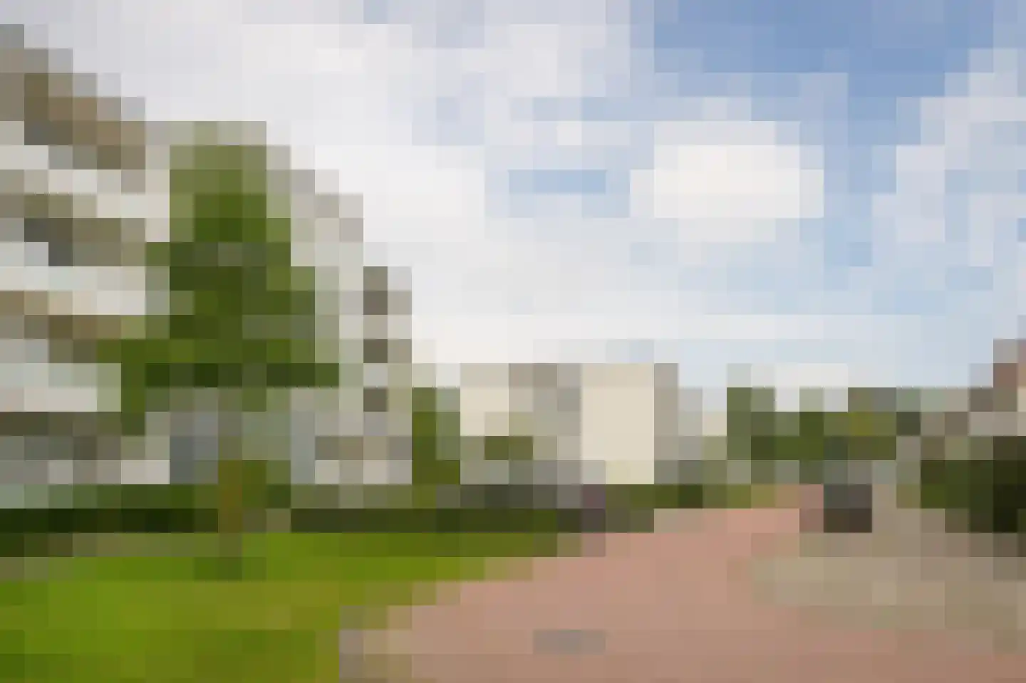 IJsvogel 25 Vught thumbnail 27