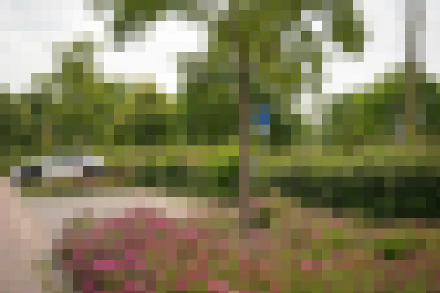 IJsvogel 25 Vught thumbnail 29