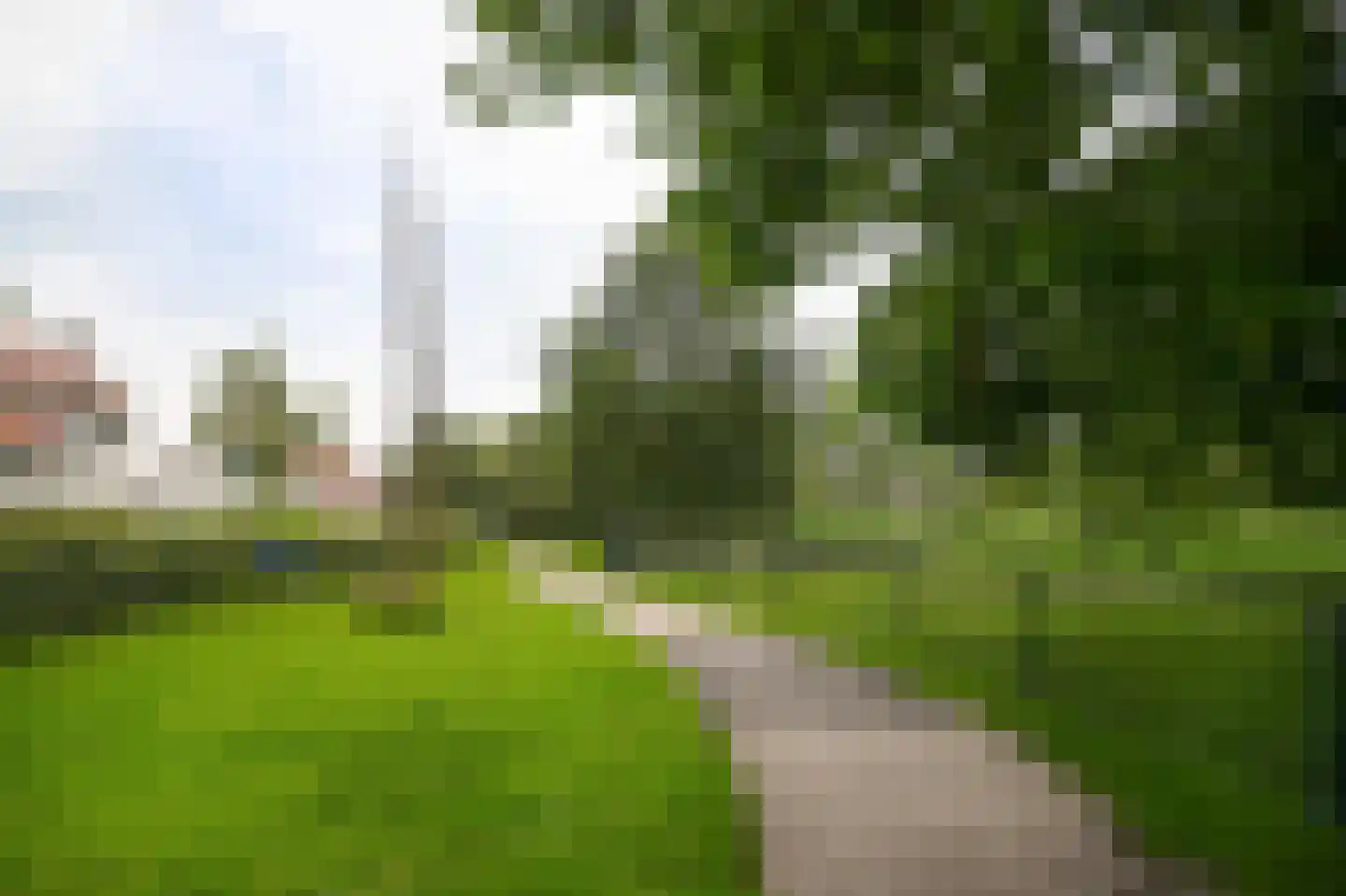 IJsvogel 25 Vught thumbnail 30