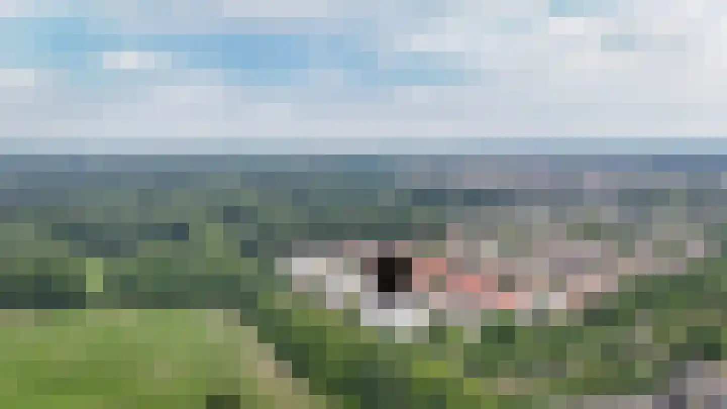 IJsvogel 25 Vught thumbnail 31