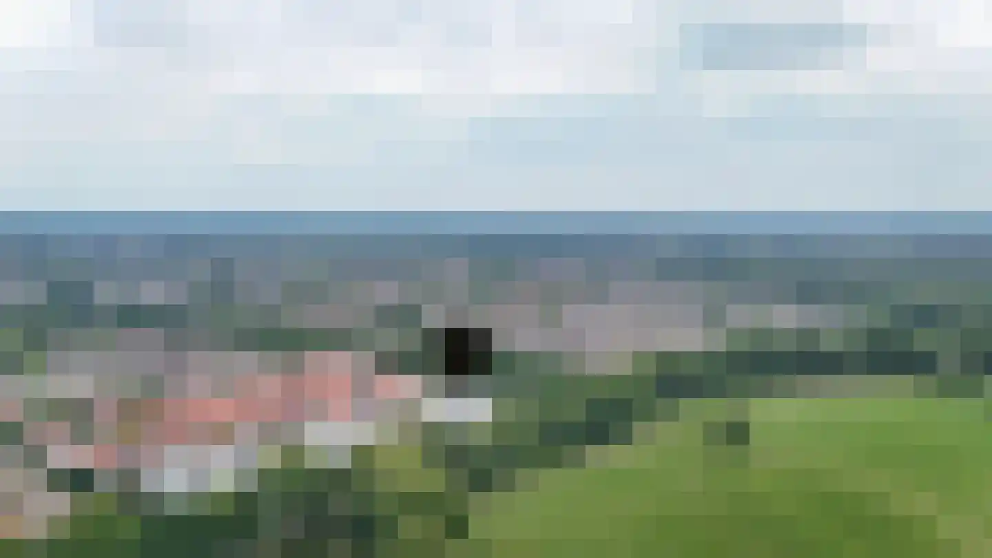 IJsvogel 25 Vught thumbnail 32