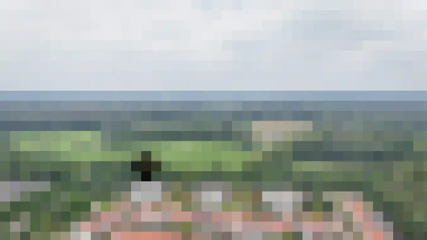 IJsvogel 25 Vught thumbnail 33