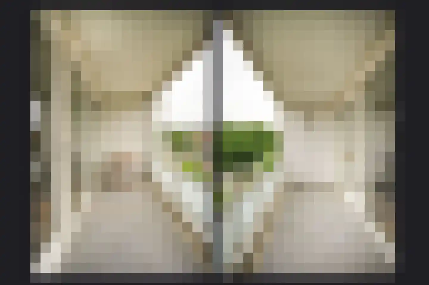 IJsvogel 25 Vught thumbnail 7