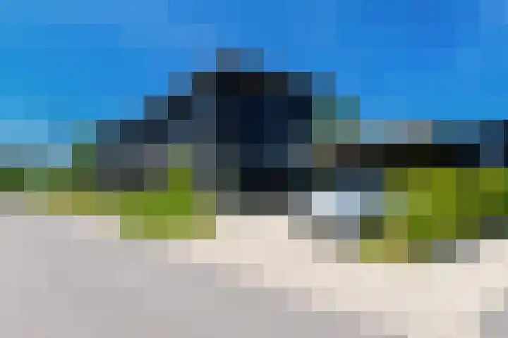 IJsvogel 28 Muiden