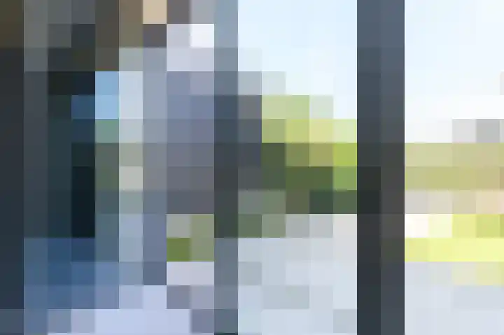 IJsvogel 28 Muiden thumbnail 10