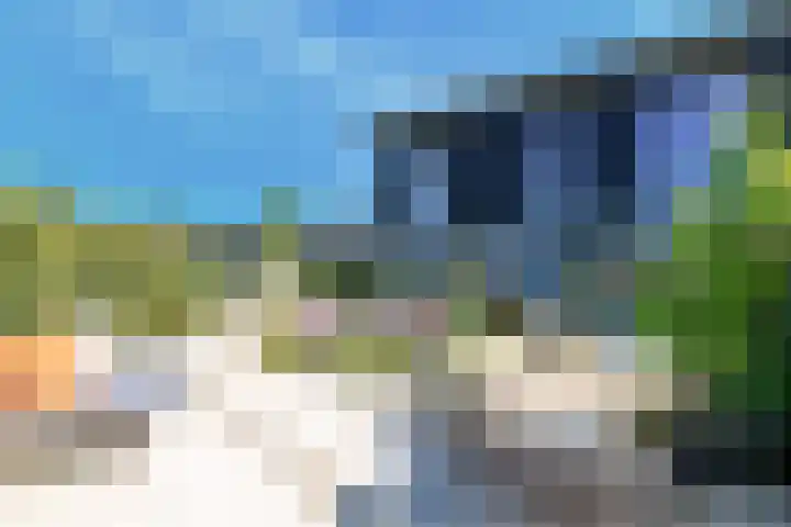 IJsvogel 28 Muiden thumbnail 12