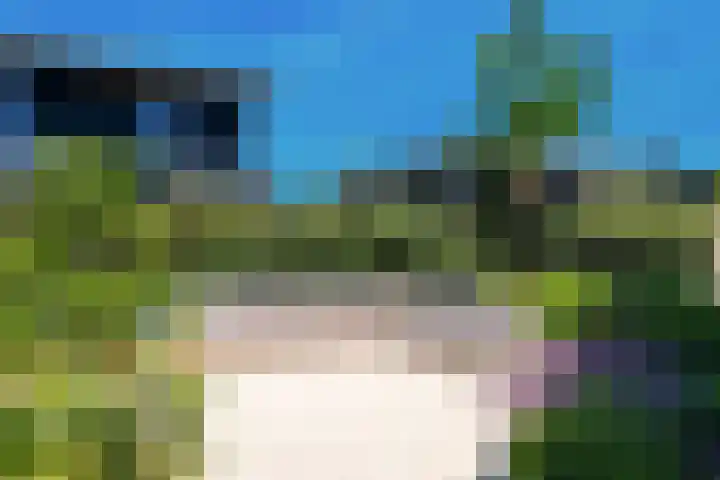 IJsvogel 28 Muiden thumbnail 13