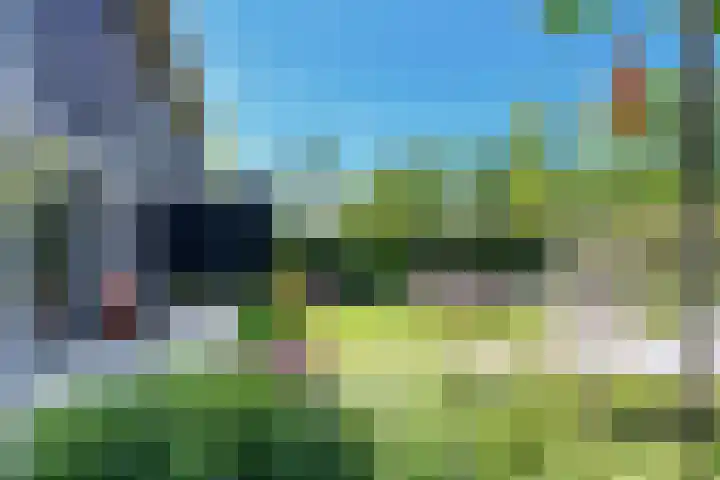 IJsvogel 28 Muiden thumbnail 14