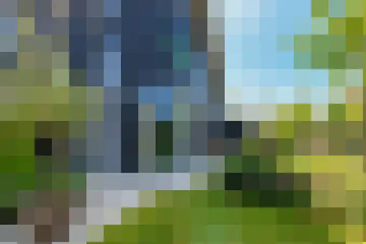 IJsvogel 28 Muiden thumbnail 15