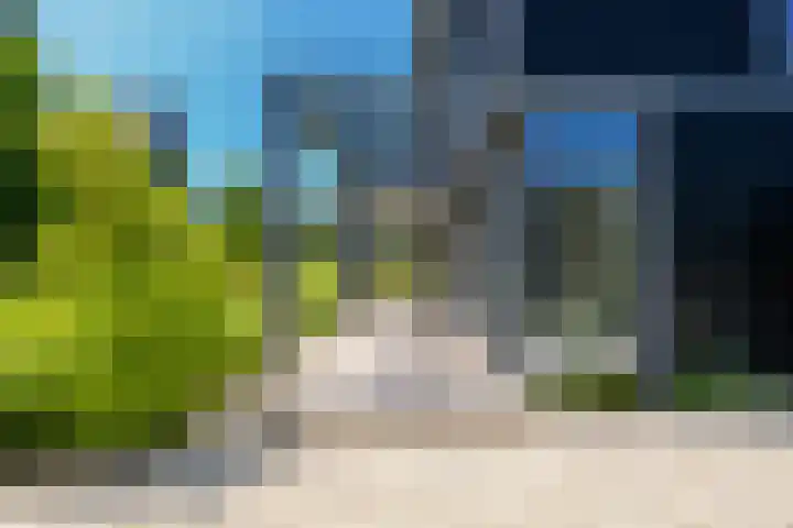 IJsvogel 28 Muiden thumbnail 16