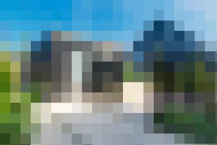 IJsvogel 28 Muiden thumbnail 17