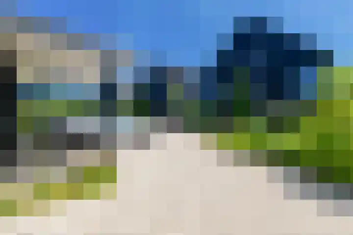 IJsvogel 28 Muiden thumbnail 18