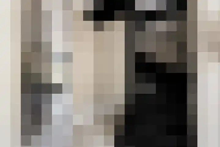 IJsvogel 28 Muiden thumbnail 19