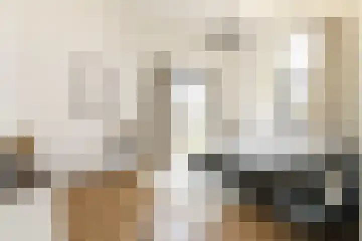 IJsvogel 28 Muiden thumbnail 20