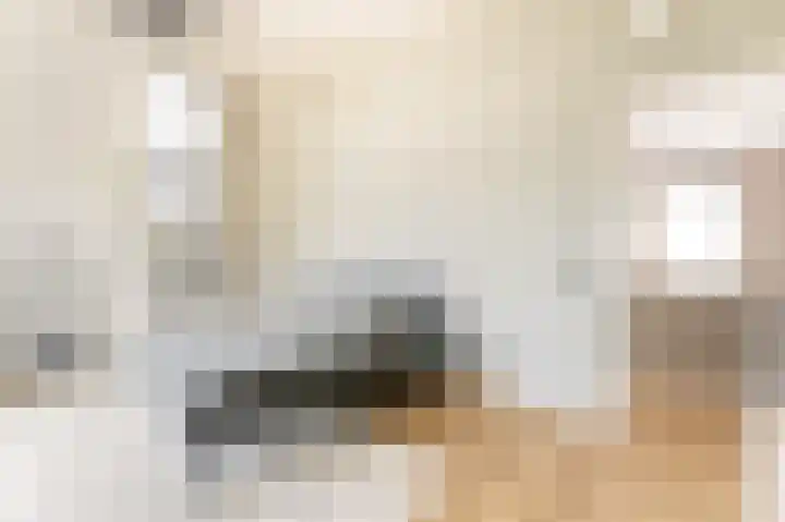 IJsvogel 28 Muiden thumbnail 21