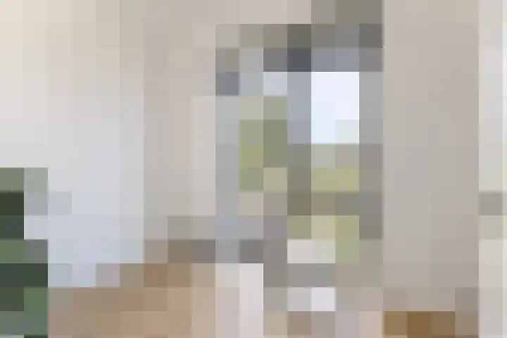 IJsvogel 28 Muiden thumbnail 22