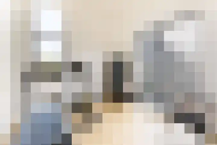 IJsvogel 28 Muiden thumbnail 23