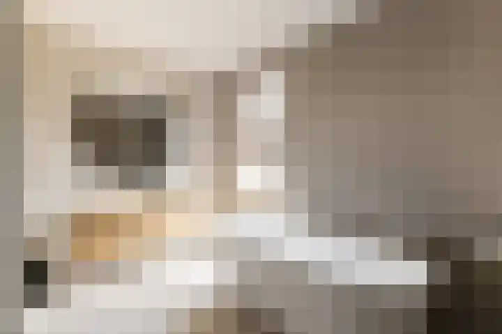IJsvogel 28 Muiden thumbnail 25