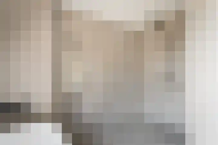 IJsvogel 28 Muiden thumbnail 26