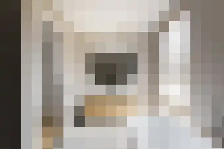 IJsvogel 28 Muiden thumbnail 27