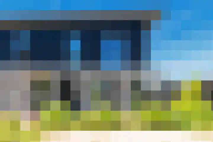 IJsvogel 28 Muiden thumbnail 33