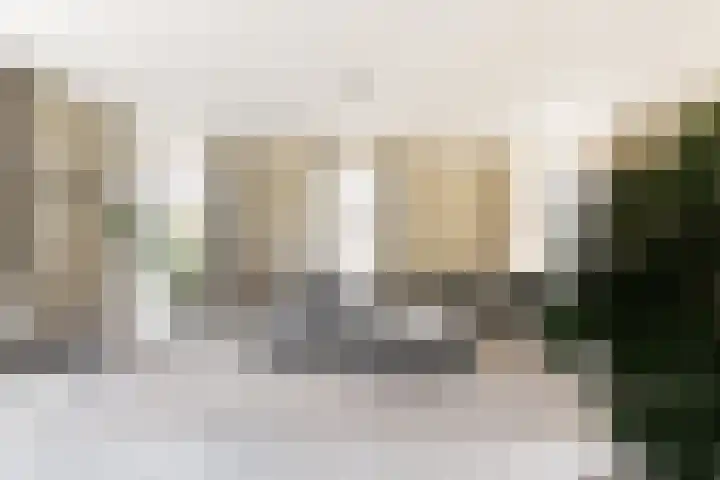 IJsvogel 28 Muiden thumbnail 34