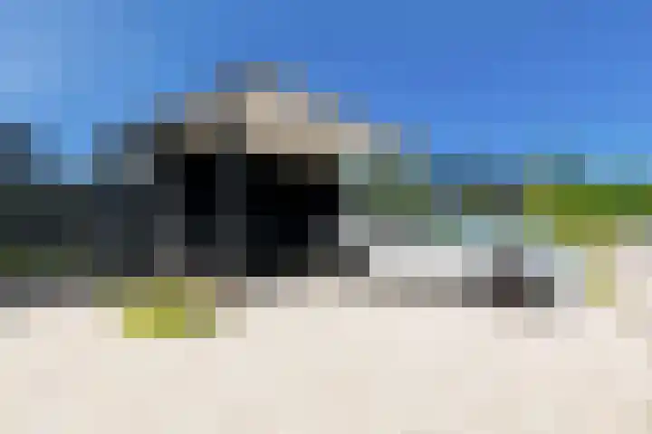 IJsvogel 28 Muiden thumbnail 35