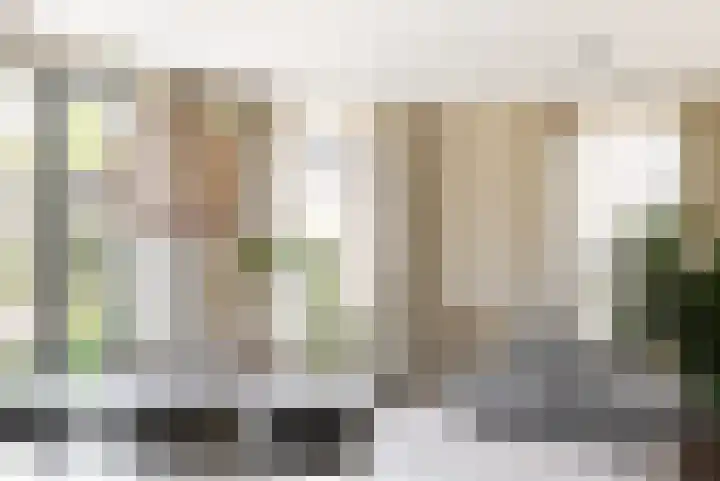 IJsvogel 28 Muiden thumbnail 37
