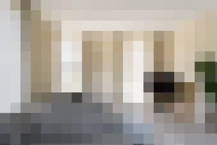 IJsvogel 28 Muiden thumbnail 39