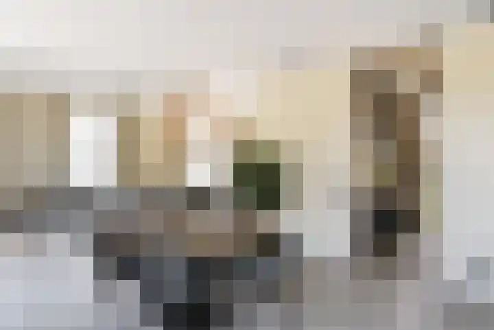 IJsvogel 28 Muiden thumbnail 4