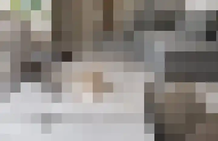 IJsvogel 28 Muiden thumbnail 40