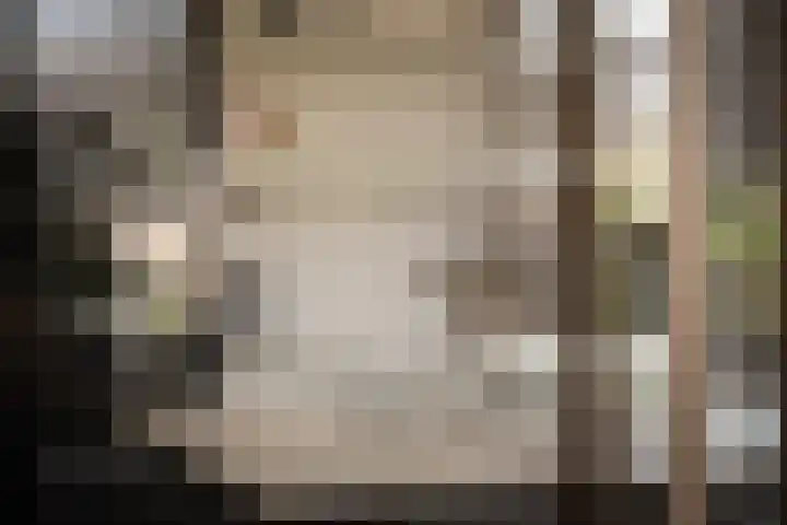 IJsvogel 28 Muiden thumbnail 42