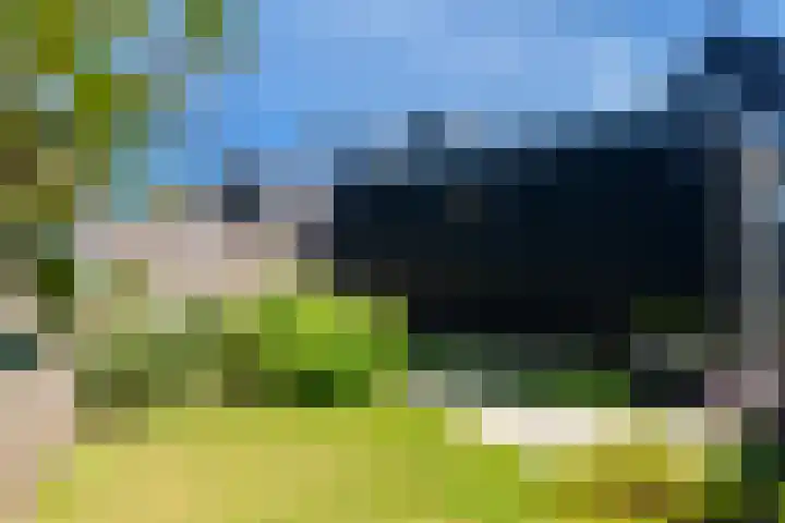 IJsvogel 28 Muiden thumbnail 48