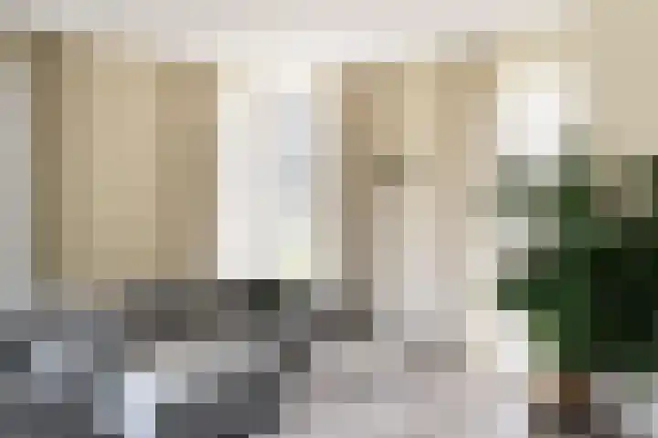 IJsvogel 28 Muiden thumbnail 5