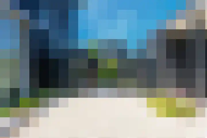 IJsvogel 28 Muiden thumbnail 50
