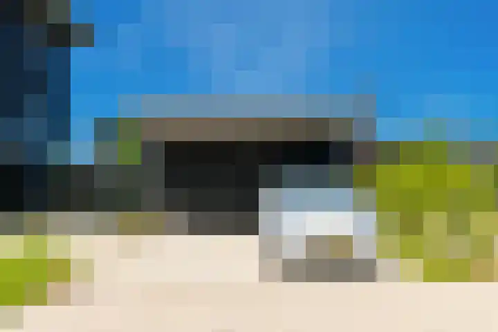 IJsvogel 28 Muiden thumbnail 51