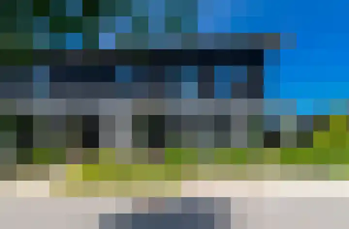 IJsvogel 28 Muiden thumbnail 52