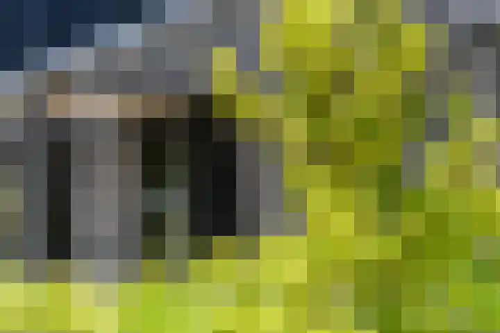 IJsvogel 28 Muiden thumbnail 53