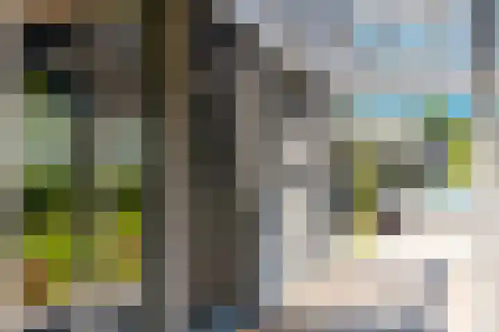 IJsvogel 28 Muiden thumbnail 54