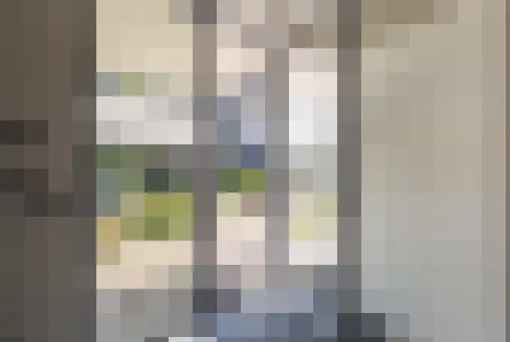 IJsvogel 28 Muiden thumbnail 55