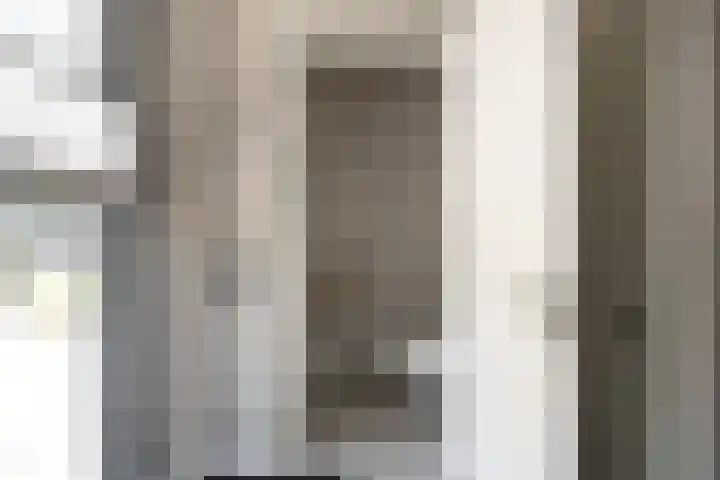 IJsvogel 28 Muiden thumbnail 56