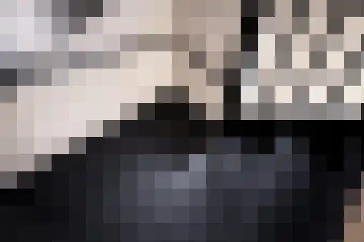 IJsvogel 28 Muiden thumbnail 57